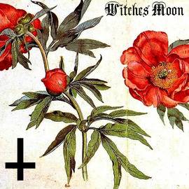 Witches Moon : Call Upon Your Name